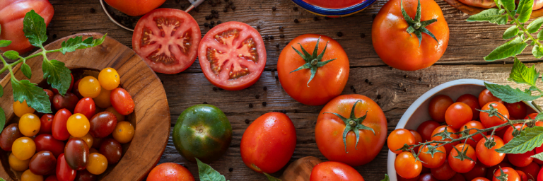 Nos Conseils Pour R Ussir Vos Plants De Tomates