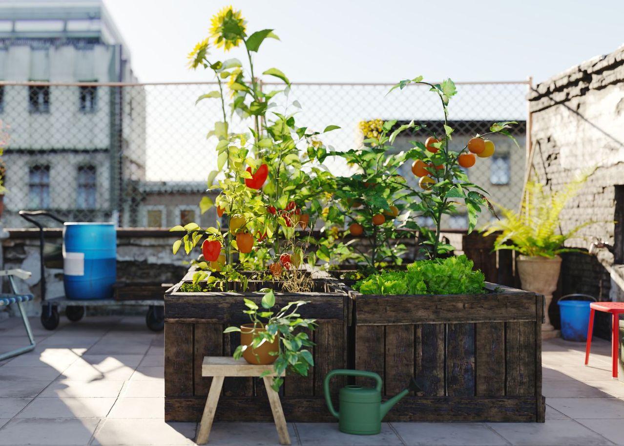 Cultiver Un Jardin Sur Son Toit Une Tendance Urbaine Qui Vous