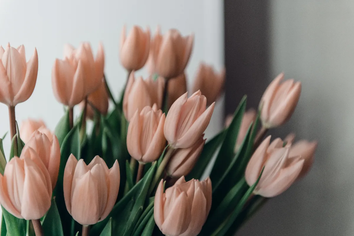 Quelles fleurs offrir pour la Saint Valentin Voici le bouquet idéal