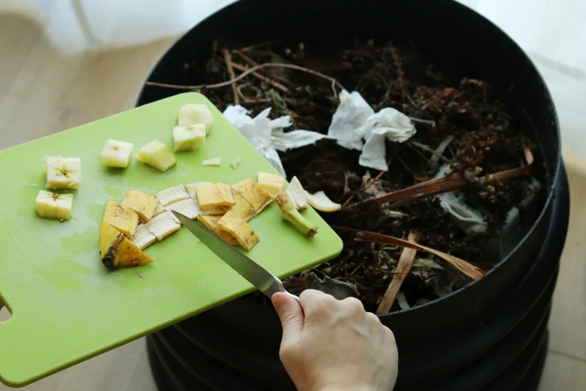 Ces 11 Choses Que Vous Ne Devez Surtout Pas Mettre Dans Votre Compost