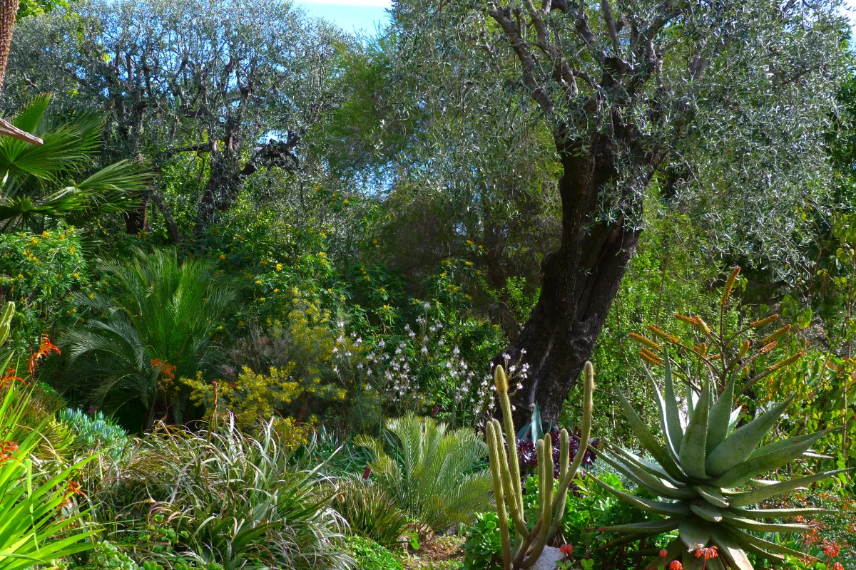 Quel Est Ce Jardin Sur La C Te Dazur Qui Fait Partie Des Plus Beaux De