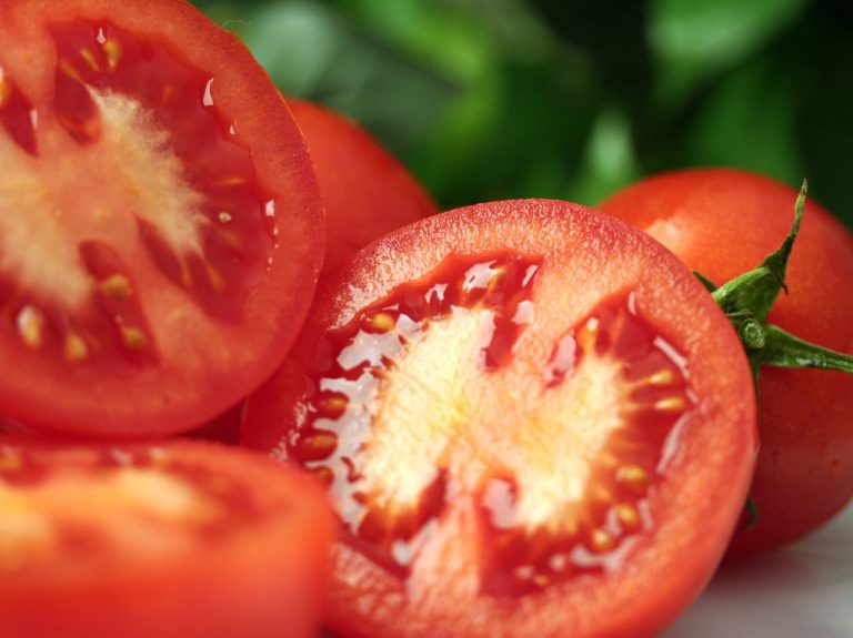 Les Caractéristiques Des Tomates Coeur De Boeuf Agrapresse Fr