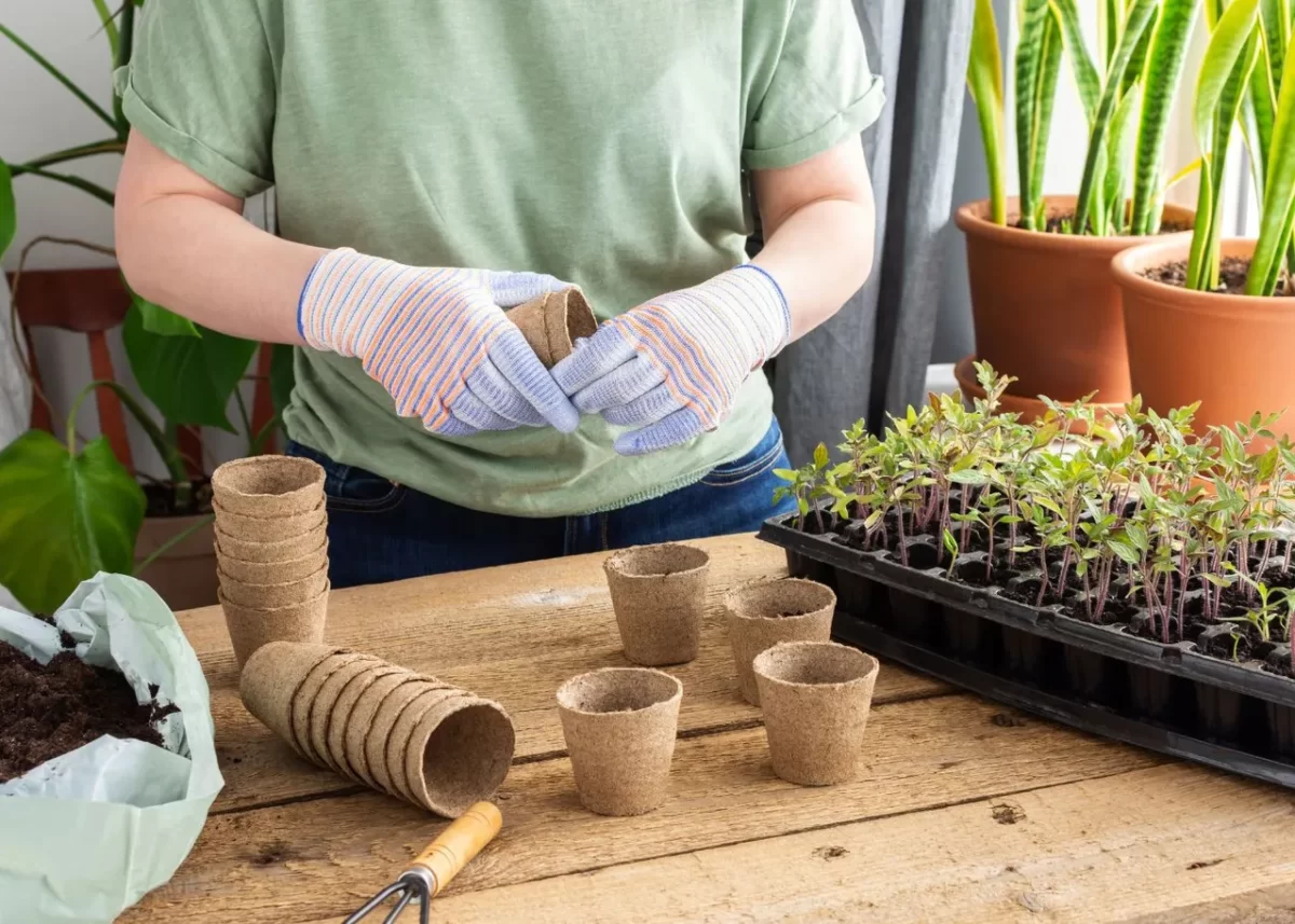 Calendrier de semis : ce qu'il faut connaître pour réussir son potager