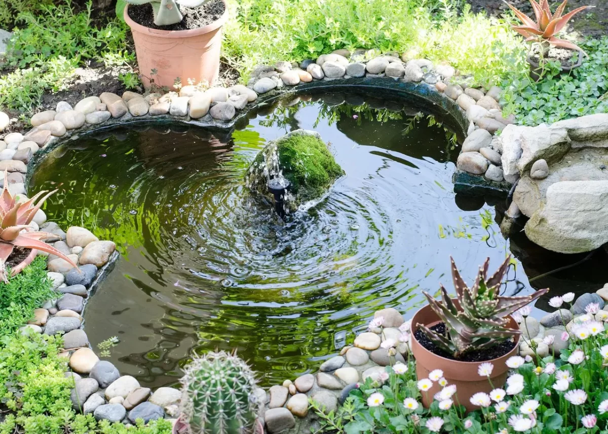 Créer un bassin à poissons : le projet qui va changer votre jardin !