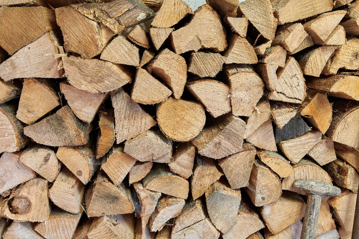 Voici Les Critères Pour Savoir Si Votre Bois De Chauffage Est De ...