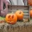 Déco Halloween au jardin : 7 idées pour transformer votre maison pour l’occasion !