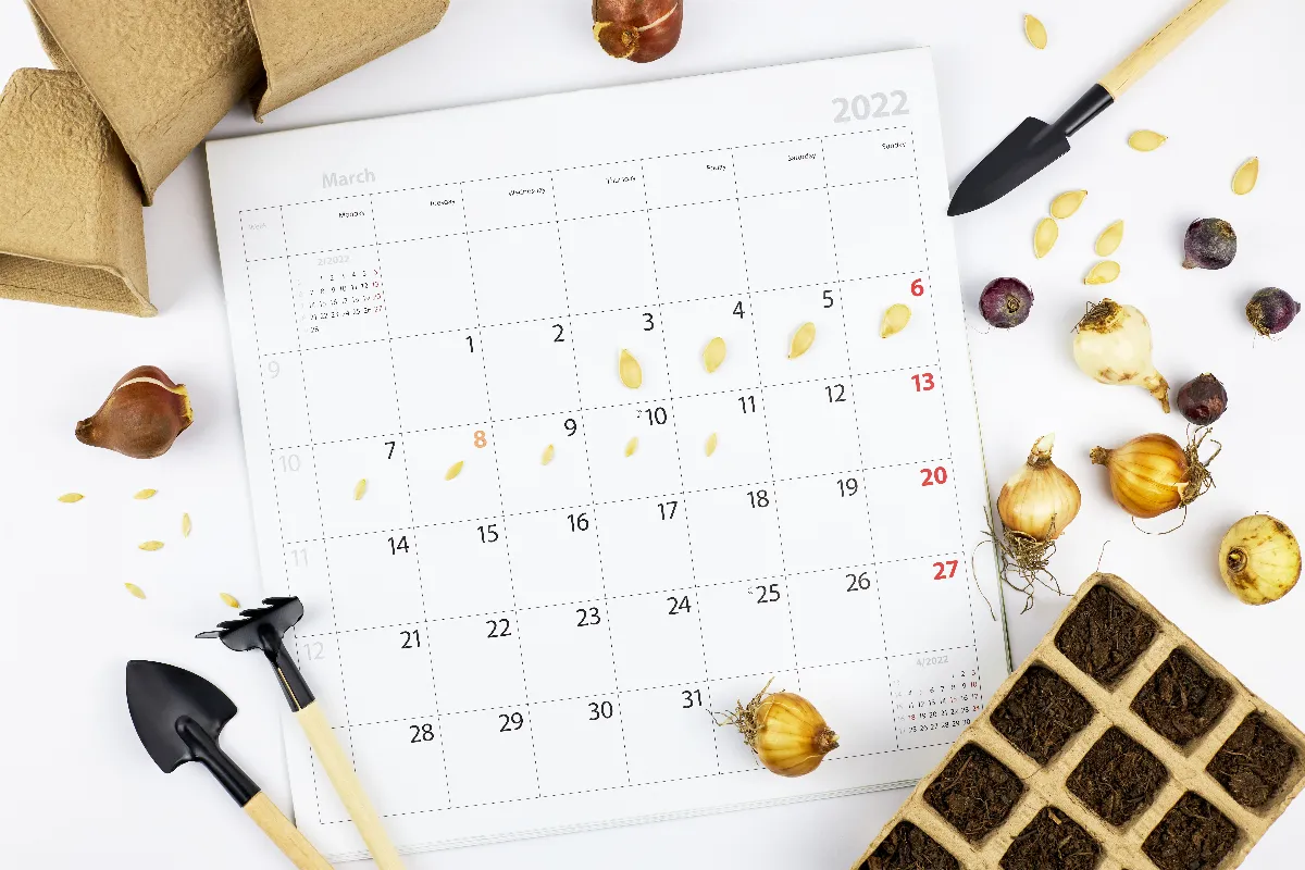 fruits-et-legumes-de-saison-le-calendrier-officiel